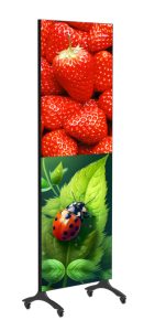 Intelligent-split-display-window